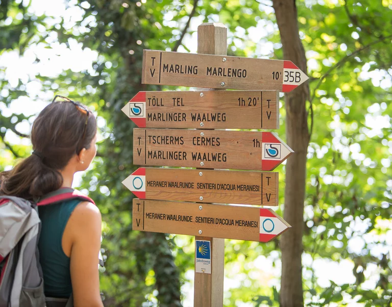 Wanderer vor Wegweisern in Holz, Marlinger Berg.